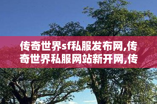 传奇世界sf私服发布网,传奇世界私服网站新开网,传奇新服网发布网,传奇世界私服网站新开网