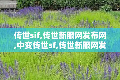 传世sif,传世新服网发布网,中变传世sf,传世新服网发布网