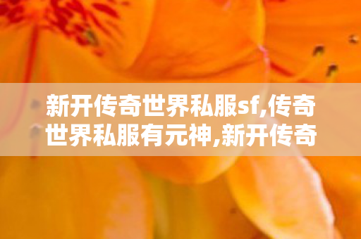 新开传奇世界私服sf,传奇世界私服有元神,新开传奇世界世私服,传奇世界私服有元神