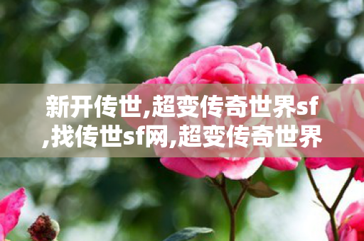 新开传世,超变传奇世界sf,找传世sf网,超变传奇世界sf