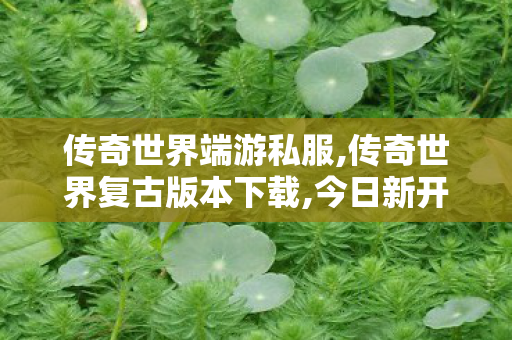 传奇世界端游私服,传奇世界复古版本下载,今日新开传奇世界私服,传奇世界复古版本下载
