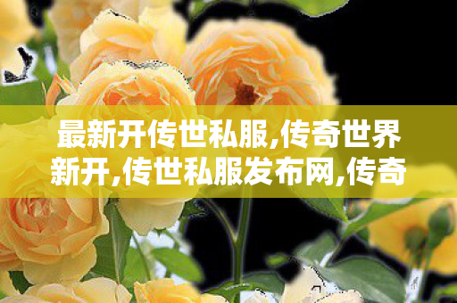 最新开传世私服,传奇世界新开,传世私服发布网,传奇世界新开