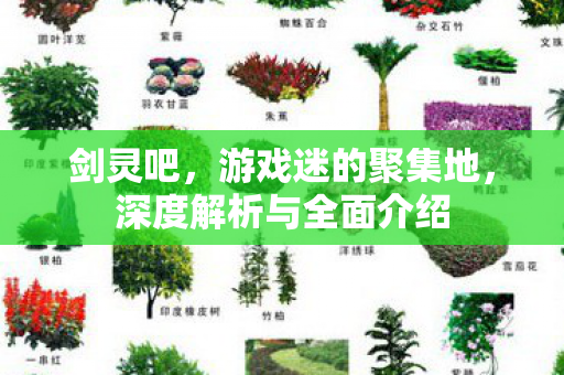 剑灵吧，游戏迷的聚集地，深度解析与全面介绍