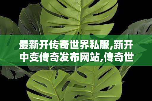 最新开传奇世界私服,新开中变传奇发布网站,传奇世界0复古私服,新开中变传奇发布网站