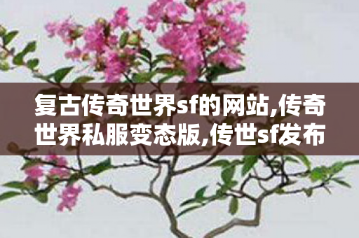 复古传奇世界sf的网站,传奇世界私服变态版,传世sf发布网站,传奇世界私服变态版