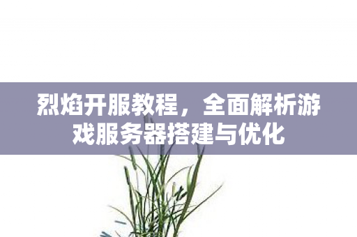烈焰开服教程，全面解析游戏服务器搭建与优化