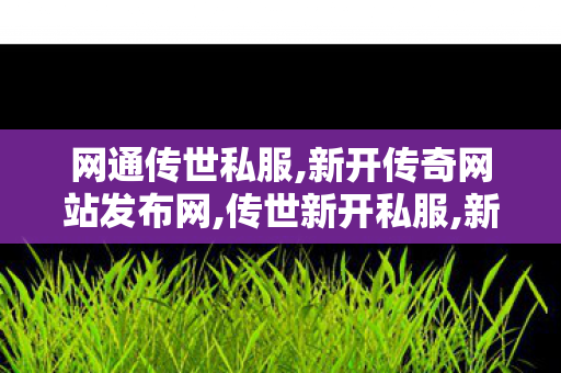 网通传世私服,新开传奇网站发布网,传世新开私服,新开传奇网站发布网