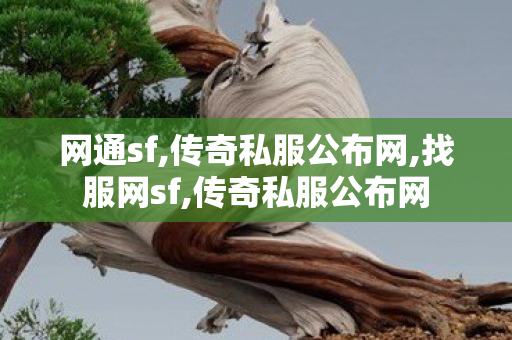 网通sf,传奇私服公布网,找服网sf,传奇私服公布网