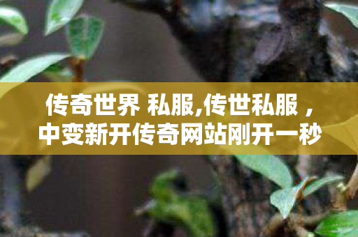 传奇世界 私服,传世私服 ,中变新开传奇网站刚开一秒,传世私服