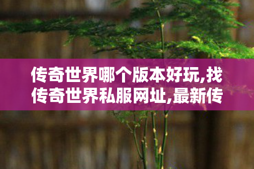 传奇世界哪个版本好玩,找传奇世界私服网址,最新传奇世界,找传奇世界私服网址