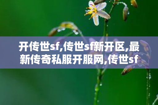 开传世sf,传世sf新开区,最新传奇私服开服网,传世sf新开区
