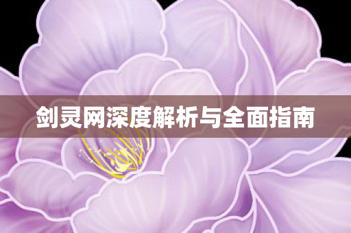 剑灵网深度解析与全面指南