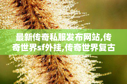 最新传奇私服发布网站,传奇世界sf外挂,传奇世界复古,传奇世界sf外挂
