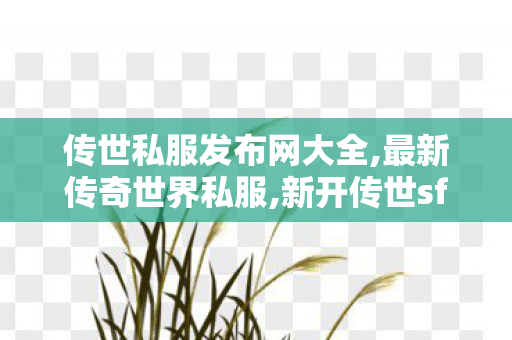 传世私服发布网大全,最新传奇世界私服,新开传世sf发布,最新传奇世界私服