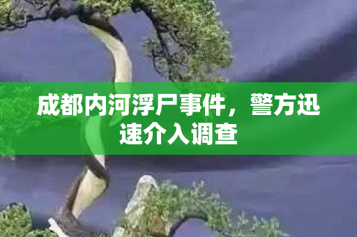 成都内河浮尸事件，警方迅速介入调查