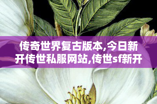传奇世界复古版本,今日新开传世私服网站,传世sf新开网站,今日新开传世私服网站