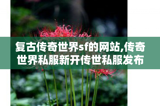 复古传奇世界sf的网站,传奇世界私服新开传世私服发布网,今日新开传奇网站发布网,传奇世界私服新开传世私服发布网