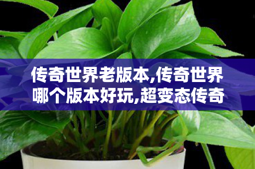 传奇世界老版本,传奇世界哪个版本好玩,超变态传奇私发服网,传奇世界哪个版本好玩