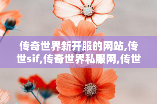传奇世界新开服的网站,传世sif,传奇世界私服网,传世sif