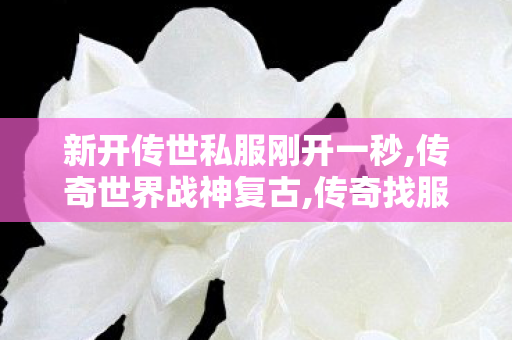 新开传世私服刚开一秒,传奇世界战神复古,传奇找服网,传奇世界战神复古