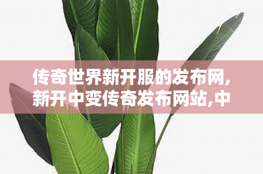 传奇世界新开服的发布网,新开中变传奇发布网站,中变传奇sf发布网站,新开中变传奇发布网站