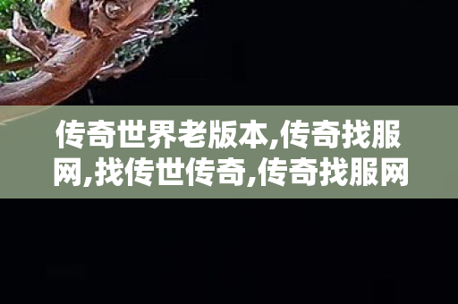 传奇世界老版本,传奇找服网,找传世传奇,传奇找服网