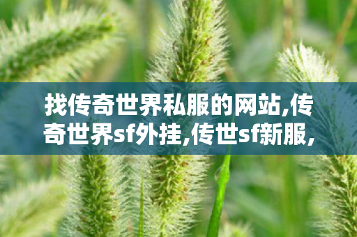 找传奇世界私服的网站,传奇世界sf外挂,传世sf新服,传奇世界sf外挂