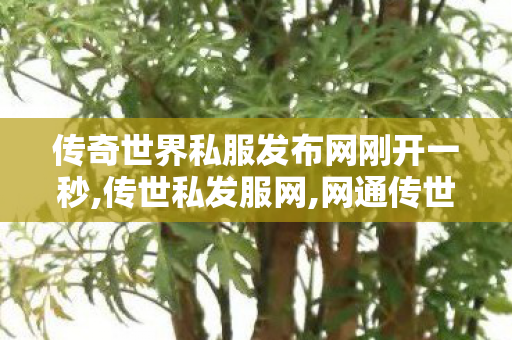 传奇世界私服发布网刚开一秒,传世私发服网,网通传世私服,传世私发服网