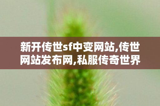 新开传世sf中变网站,传世网站发布网,私服传奇世界,传世网站发布网