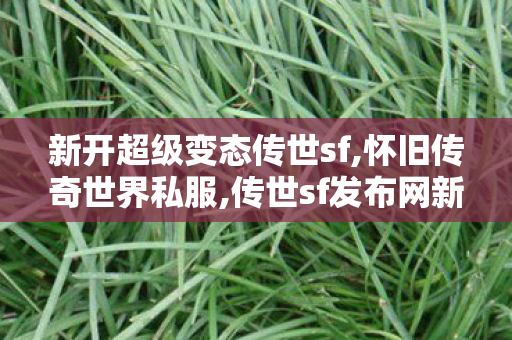 新开超级变态传世sf,怀旧传奇世界私服,传世sf发布网新服,怀旧传奇世界私服