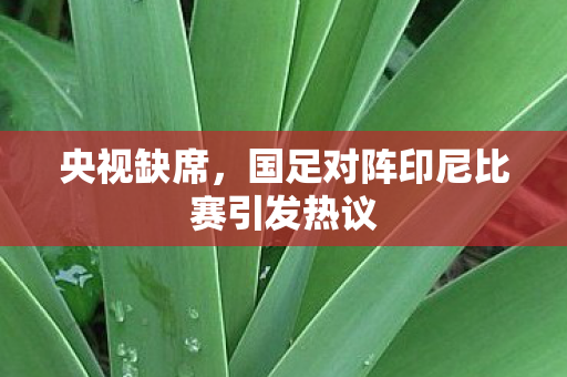 央视缺席，国足对阵印尼比赛引发热议
