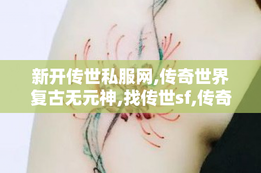 新开传世私服网,传奇世界复古无元神,找传世sf,传奇世界复古无元神