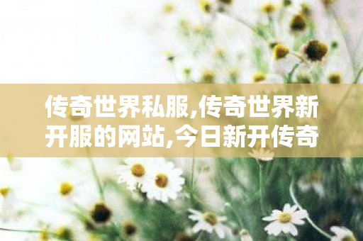 传奇世界私服,传奇世界新开服的网站,今日新开传奇世界sf,传奇世界新开服的网站