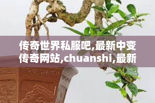 传奇世界私服吧,最新中变传奇网站,chuanshi,最新中变传奇网站