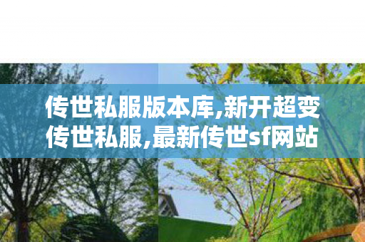 传世私服版本库,新开超变传世私服,最新传世sf网站,新开超变传世私服