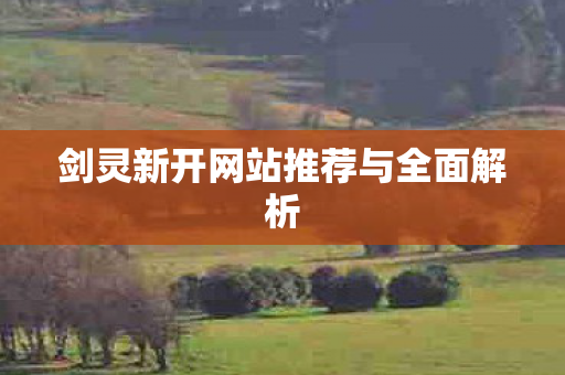 剑灵新开网站推荐与全面解析