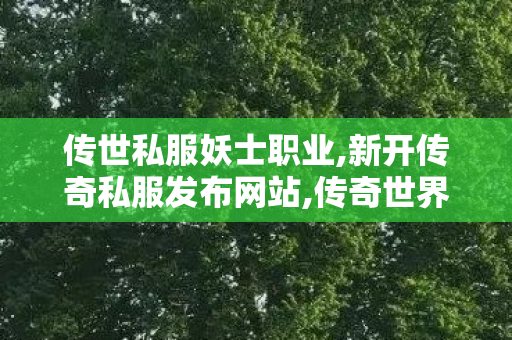 传世私服妖士职业,新开传奇私服发布网站,传奇世界复古版,新开传奇私服发布网站