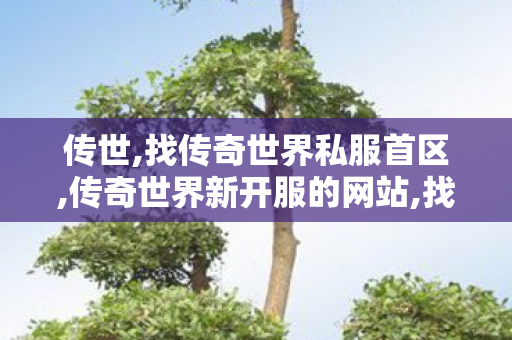 传世,找传奇世界私服首区,传奇世界新开服的网站,找传奇世界私服首区