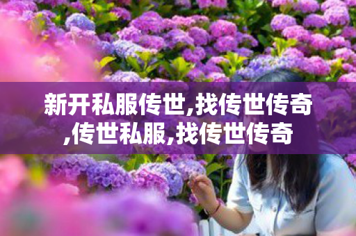 新开私服传世,找传世传奇,传世私服,找传世传奇