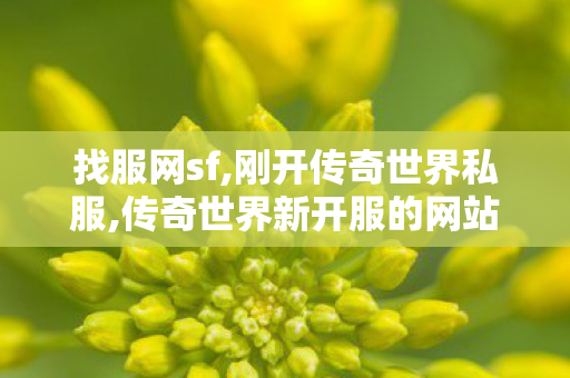 找服网sf,刚开传奇世界私服,传奇世界新开服的网站,刚开传奇世界私服