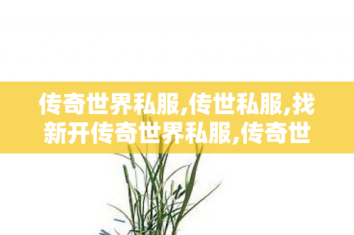 传奇世界私服,传世私服,找新开传奇世界私服,传奇世界老版本下载,找新开传奇世界私服
