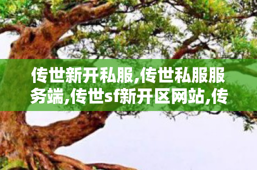 传世新开私服,传世私服服务端,传世sf新开区网站,传世私服服务端