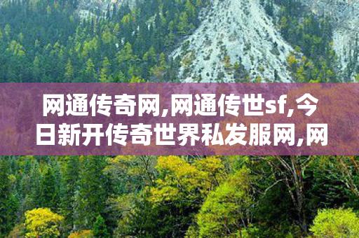 网通传奇网,网通传世sf,今日新开传奇世界私发服网,网通传世sf