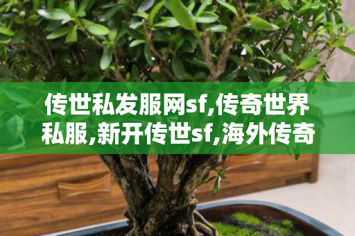 传世私发服网sf,传奇世界私服,新开传世sf,海外传奇世界私服,传奇世界私服,新开传世sf