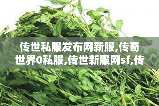 传世私服发布网新服,传奇世界0私服,传世新服网sf,传奇世界0私服