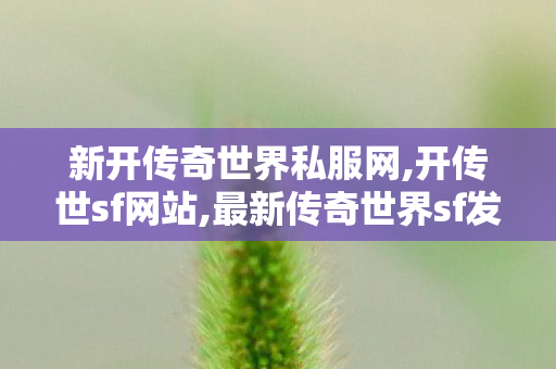 新开传奇世界私服网,开传世sf网站,最新传奇世界sf发布网,开传世sf网站