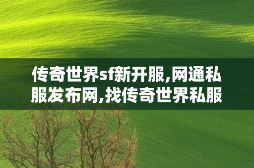 传奇世界sf新开服,网通私服发布网,找传奇世界私服发布网站,网通私服发布网