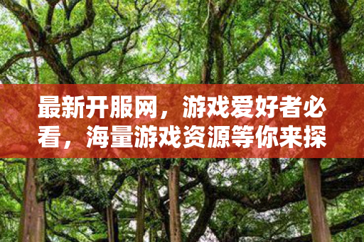最新开服网，游戏爱好者必看，海量游戏资源等你来探索