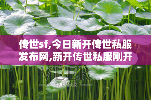传世sf,今日新开传世私服发布网,新开传世私服刚开一秒,今日新开传世私服发布网
