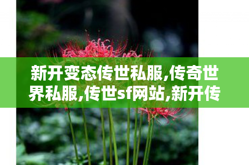 新开变态传世私服,传奇世界私服,传世sf网站,新开传世私服发布网,传奇世界私服,传世sf网站